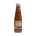 Zázvorová omáčka TD 300 ml