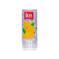 Nápoj z mangové šťávy Jefi 250ml