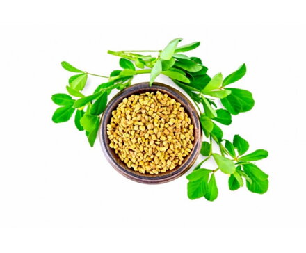 Pískavice Řecké Seno 100g